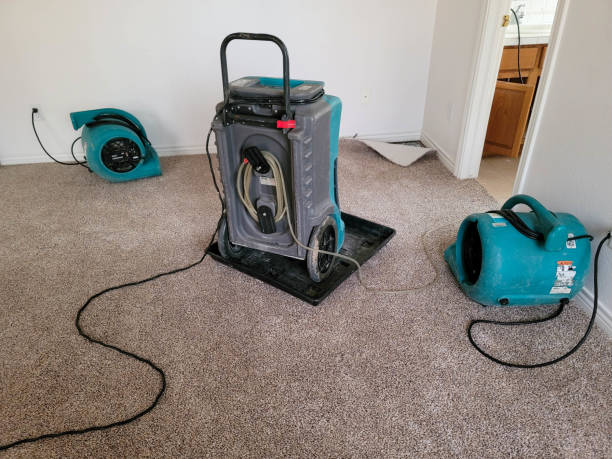 Best 24/7 water damage repair  in Pinole, CA