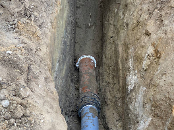Best Flood damage cleanup  in Pinole, CA