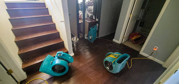 Best Carpet water damage restoration  in Pinole, CA