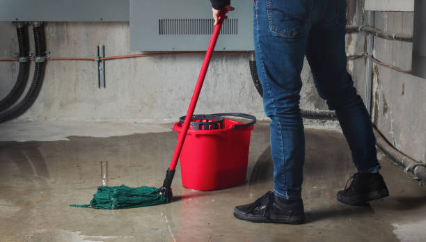 Best Carpet water damage restoration  in Pinole, CA