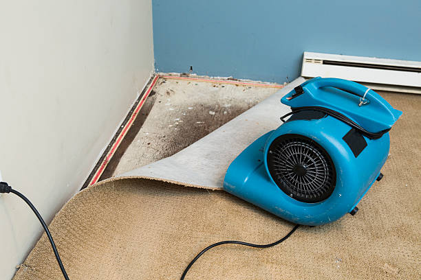 Best Local water damage restoration  in Pinole, CA